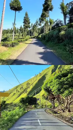 2 video 1 layout