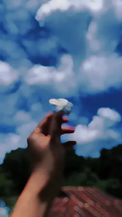 Slowmotion video ✨