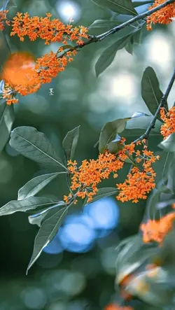 txhua tsav txhua yam