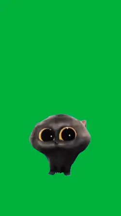 Cat singing 