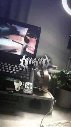 v miror