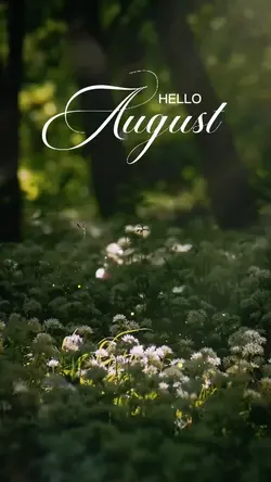 Hello August
