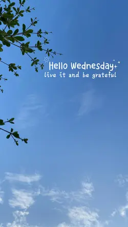 Wednesday 