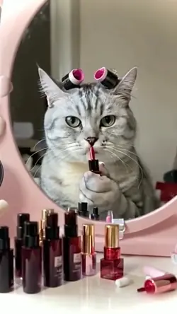 Cat applying makeup 