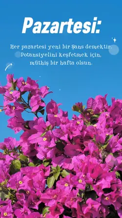 pazartesi motivasyon