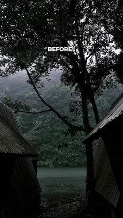 BEFORE AFTER