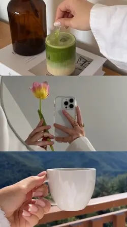 3 Grid Videos