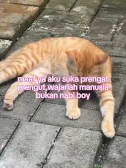 teks bisa diganti