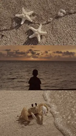 2 foto 1 video.