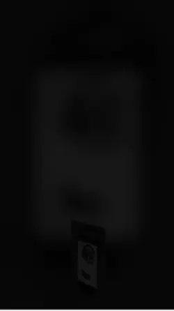 Magal vid 24