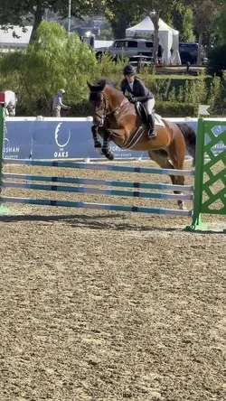 Viral horse edit💚AI‼️