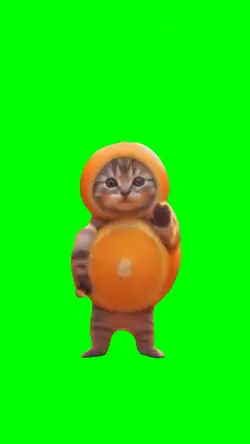 AI DANCING CAT