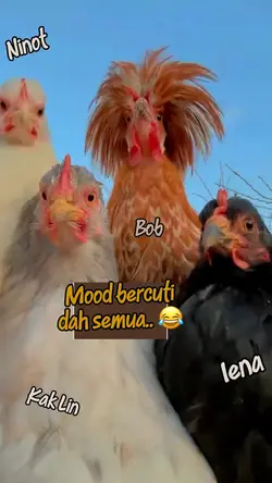 Happy Mood
