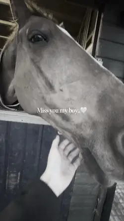 Miss u my boy