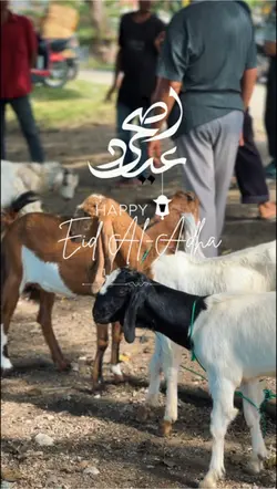 Eid Al-Adha Mubarak