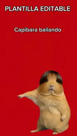 Capibara bailando