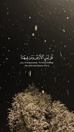quran kareem