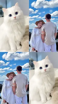 Yeni şablon 