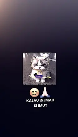 DJ APACI APACU