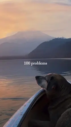 Living with dog