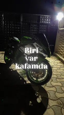 yeni şablon