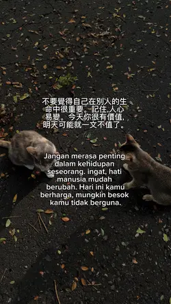kata kata
