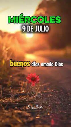 Miércoles 9 Julio