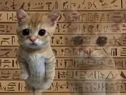 ___ + Egypt (TREND) 