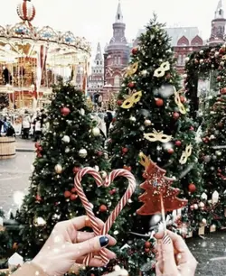 Christmas photo dum