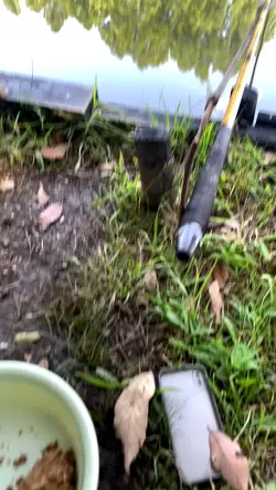 1 video câu cá 