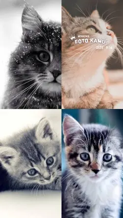4pic