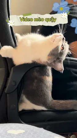 THÚ CƯNG
