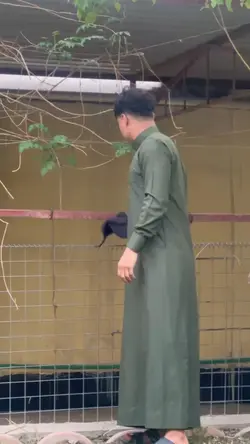ترند فخم