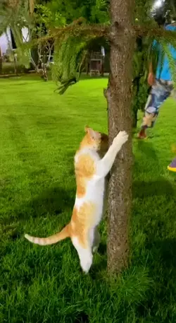 cute...