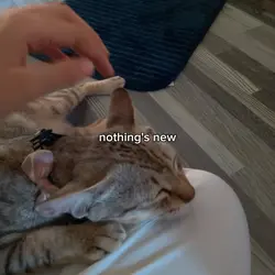 nothing's new.