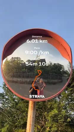 Strava trends 