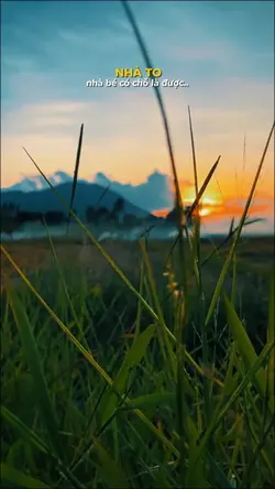 Post Cuộc Sống