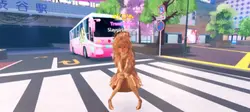 catch catch 