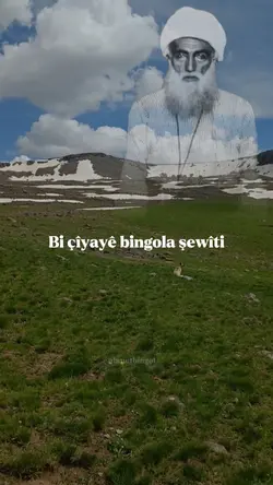 Şeyh Sait 