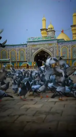Mola Hussain 