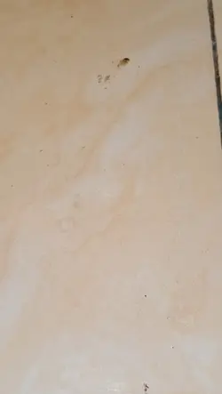 Menu sederhana 