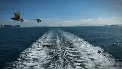 1个视频
