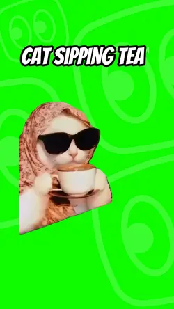 Cat sipping tea 