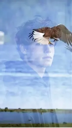 Eagle effect