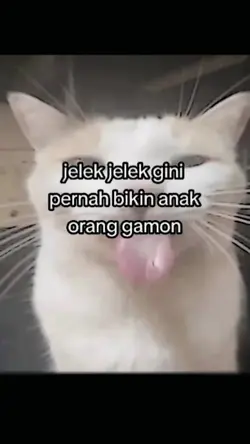 jelek² gini pernah 