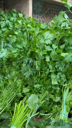 Hortifruti 