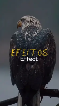 Effect Cinematic