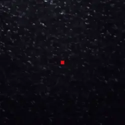 TikTok viral 