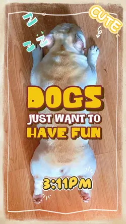 DOGS 