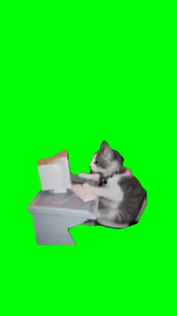 cat typing meme